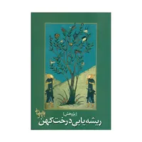 کتاب ریشه یابی درخت کهن اثر بهرام بیضائی انتشارات روشنگران و مطالعات زنان