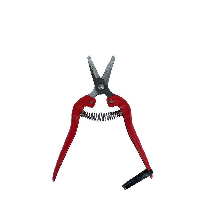 قیچی میوه چینی مدل M1704 قیچی میوه چینی مدل M1704
