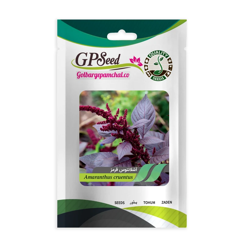 بذر گل آشلانتوس گلبرگ پامچال کد GPF-009