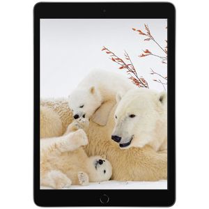 Apple iPad 9th Generation 10.2-Inch Wi-Fi 2021 64GB Tablet