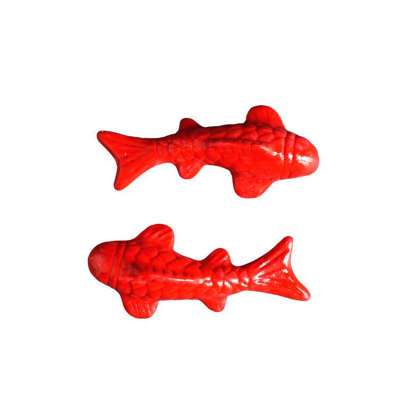مجسمه مدل ماهی مجموعه 2 عددی