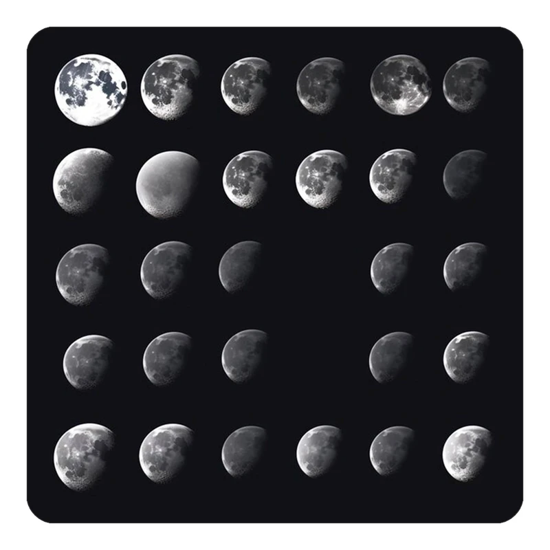 مگنت کاکتی طرح ماه و ستاره مدل mp50975