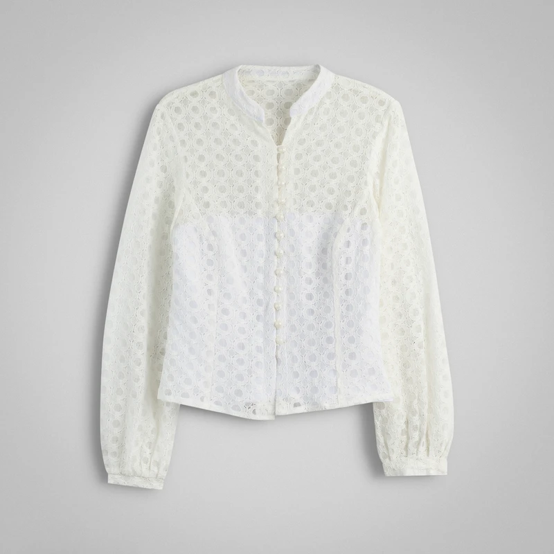 شومیز آستین بلند یقه دیپلمات زنانه مدل بهار