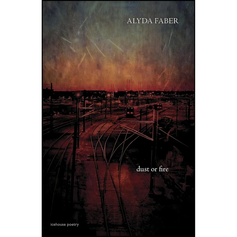 کتاب Dust or Fire اثر Alyda Faber انتشارات Icehouse Poetry