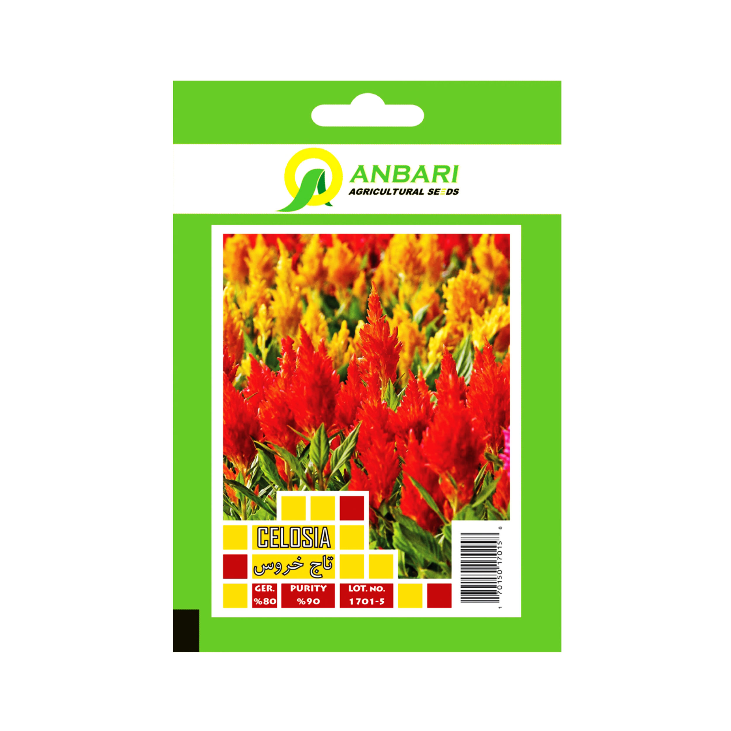 بذر گل تاج خروس بذر عنبری کد BZA-012