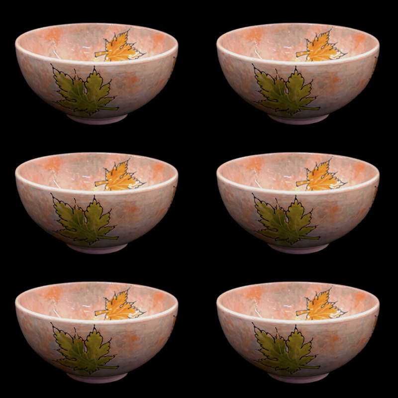 کاسه مدل پاییزی بسته 6 عددی کاسه مدل پاییزی بسته 6 عددی