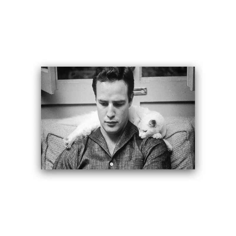 تابلو شاسی طرح مارلون براندو مدل BS00649