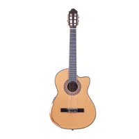 گیتار مدل واش برن