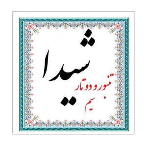 سیم تنبور و دوتار شیدا مدل Set