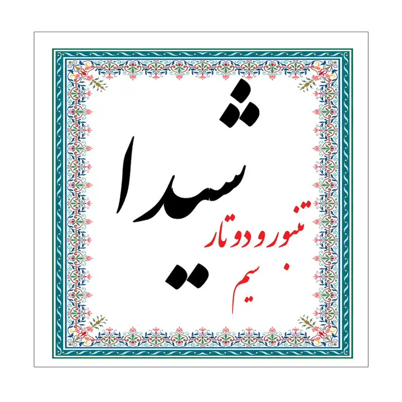 سیم تنبور و دوتار شیدا مدل Set