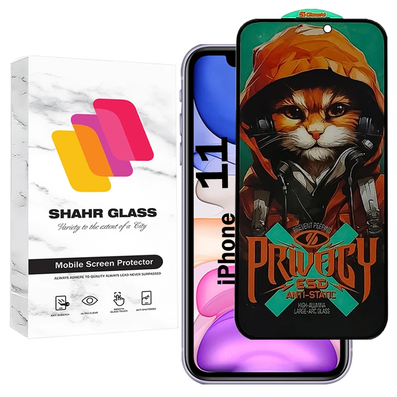 محافظ صفحه نمایش شهر گلس مدل CATPRV مناسب برای گوشی موبایل اپل iPhone 11 / iPhone XR