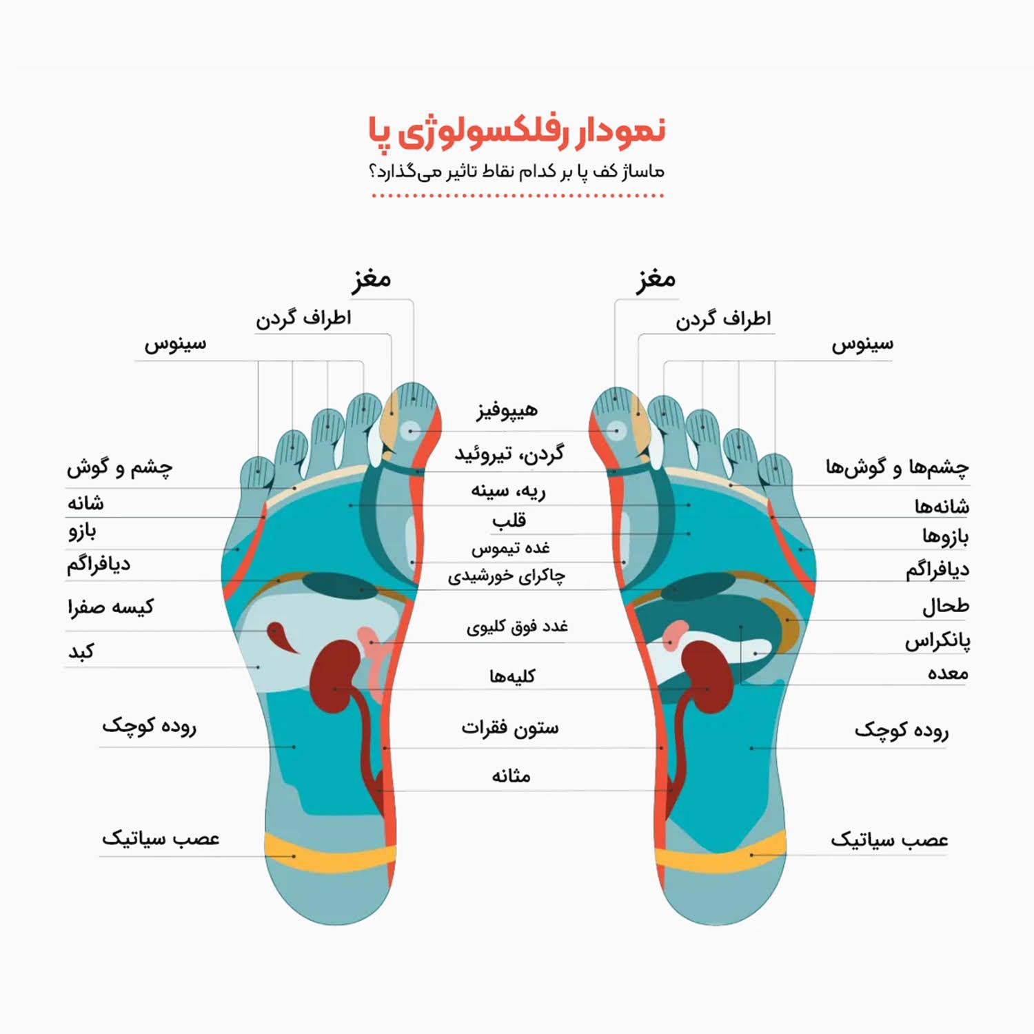 ماساژور کف پا تن زیب مدل فومی -  - 10