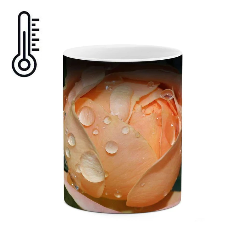 ماگ حرارتی کاکتی مدل گل کد mgh12028