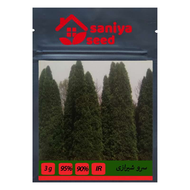 بذر درخت سرو شیراز سانیا سید مدل Z3