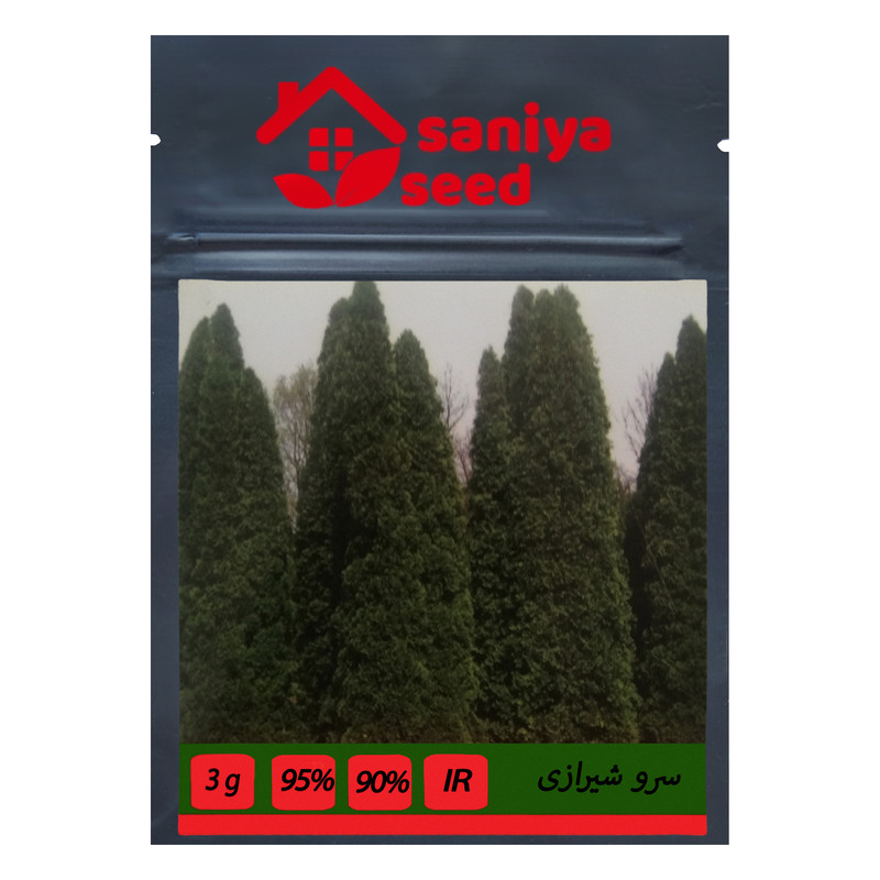 بذر درخت سرو شیراز سانیا سید مدل Z3