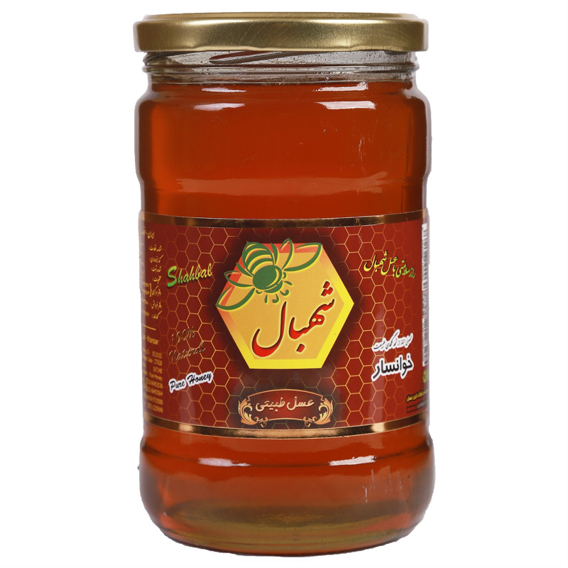 عسل طبیعی شهد گشنیز شهبال - 850 گرم