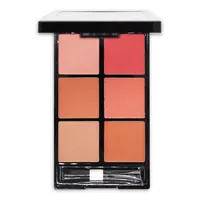 پالت رژ گونه رمانتیک برد مدل 6B V-Face Beauty Looks&nbsp; B
