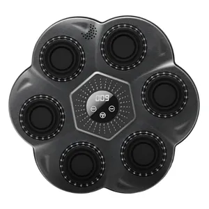 کیسه بوکس مدل موزیکال کد FAST PRO