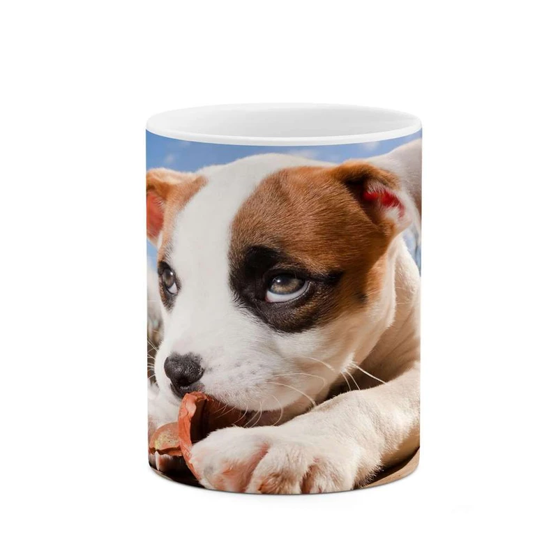 ماگ کاکتی مدل سگ کد mgh15755