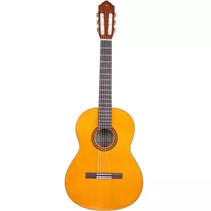 گیتار مدل cc40