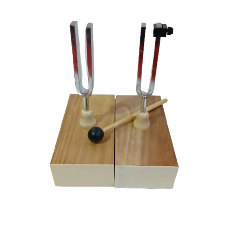 بازی آموزشی مدل دیاپازون زوجی