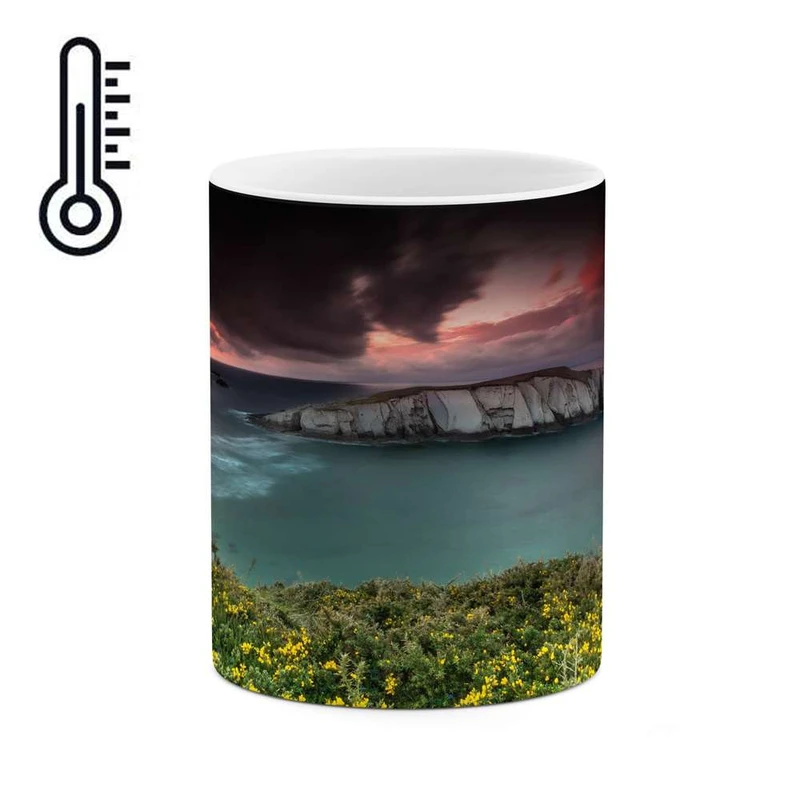 ماگ حرارتی کاکتی مدل منظره کد mgh13245