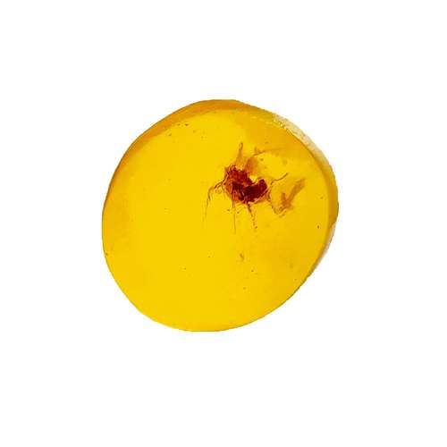 سنگ کهربا مورچه ای کد 40003