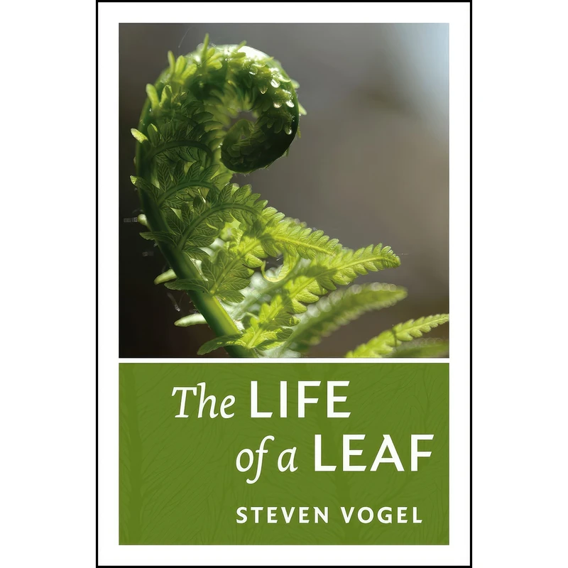 کتاب The Life of a Leaf اثر Steven Vogel انتشارات University of Chicago Press