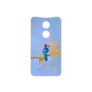 MAHOOT Cyanocitta cristata Cover Sticker for Motorola Moto X 2014