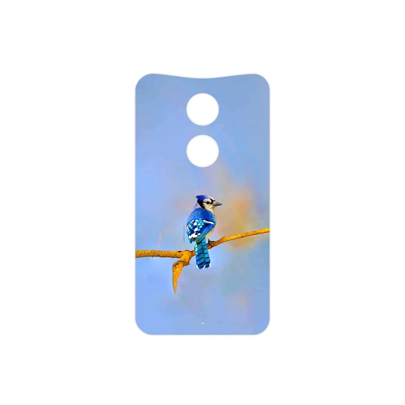 برچسب پوششی ماهوت مدل Cyanocitta cristata مناسب برای گوشی موبایل موتورولا Moto X 2014