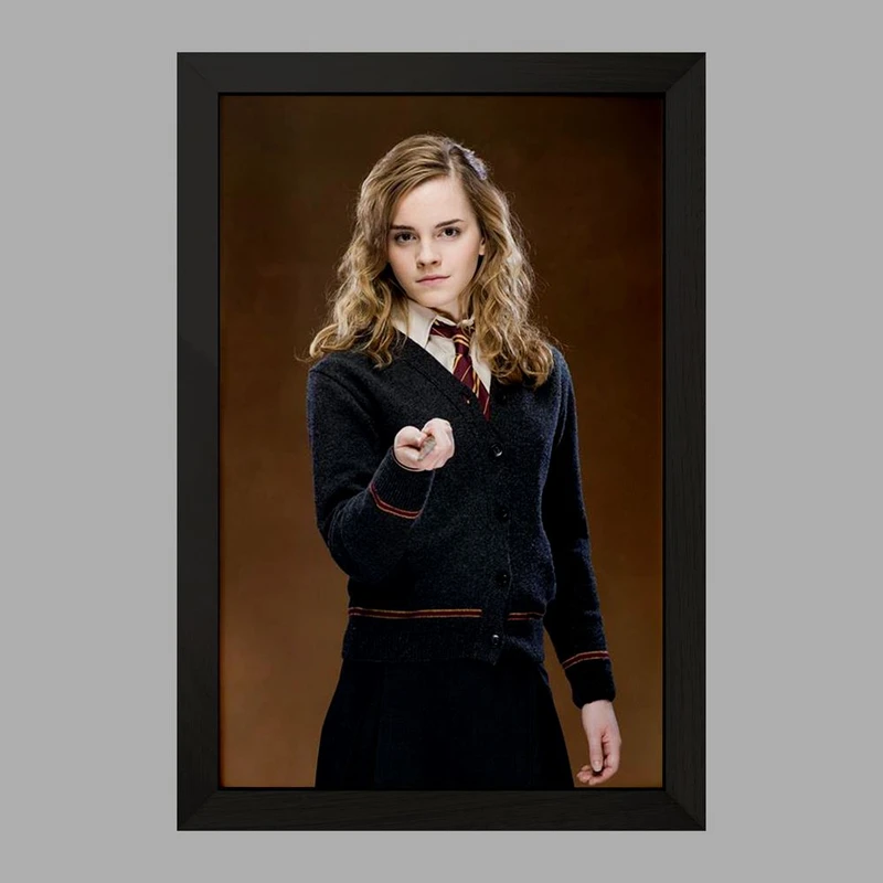 تابلو خندالو مدل هری پاتر هرمیون گرانجر کد 24981