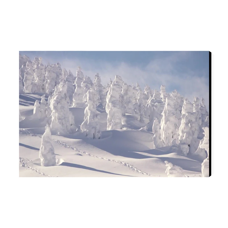 تابلو شاسی عرش طرح گردشگری ژاپن مدل هیولاهای برفی در کوه زائو کد As6244