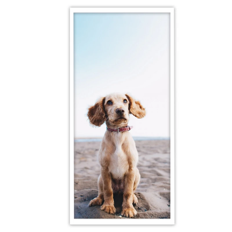 تابلو بکلیت طرح حیات وحش سگ و منظره ساحل مدل W-S3191