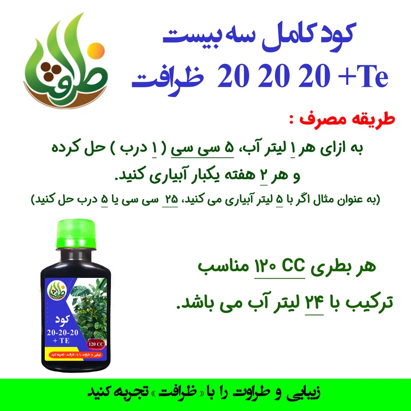 عکس شماره 3