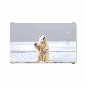 MAHOOT Polar bear Cover Sticker for Samsung Galaxy Tab E 9.6 2015 T560