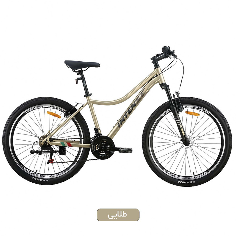 دوچرخه اینتنس مدل Wild Rider سایز 20 کد 2343