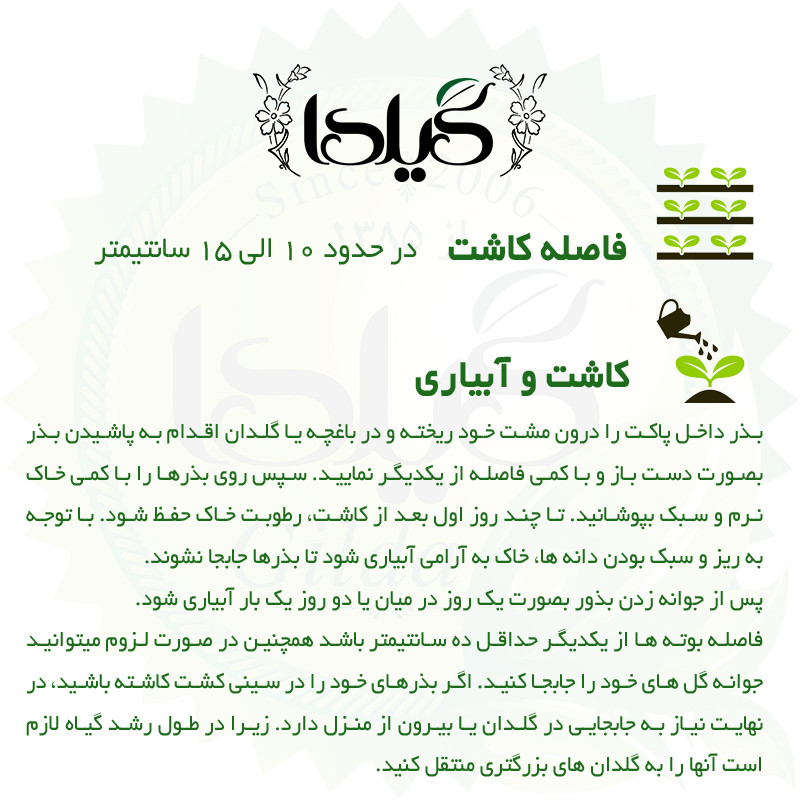 بذر ناز فرانسوی الوان گیلدا کد 945
