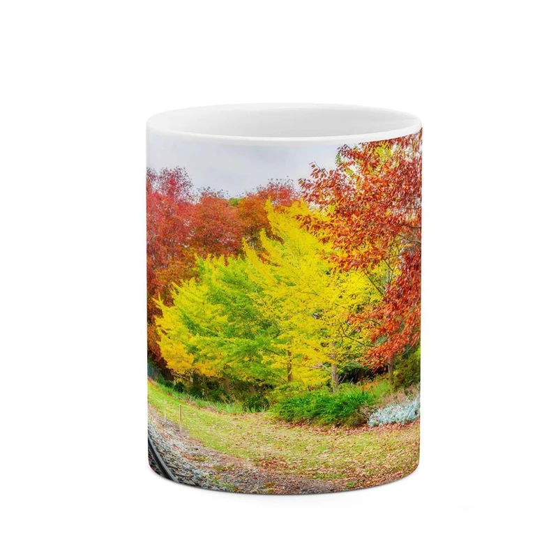 ماگ کاکتی مدل منظره کد mgh13128