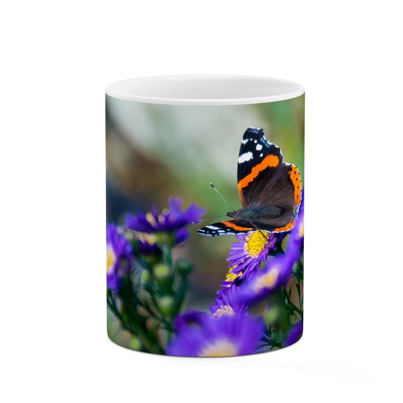 ماگ کاکتی طرح پروانه کد mgp12008