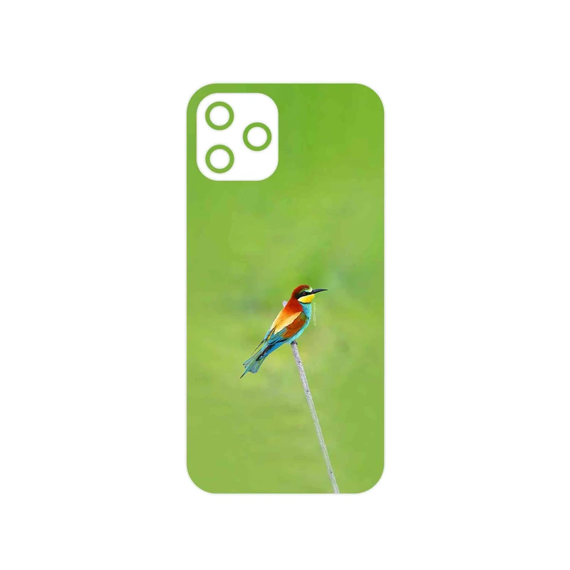 برچسب پوششی ماهوت مدل European bee-eater مناسب برای گوشی موبایل اپل iPhone 12 Pro