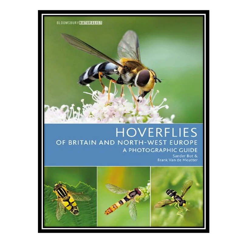 کتاب Hoverflies of Britain and North-west Europe : A Photographic Guide اثر Sander Bot AND Frank Van de Meutter انتشارات مؤلفین طلایی