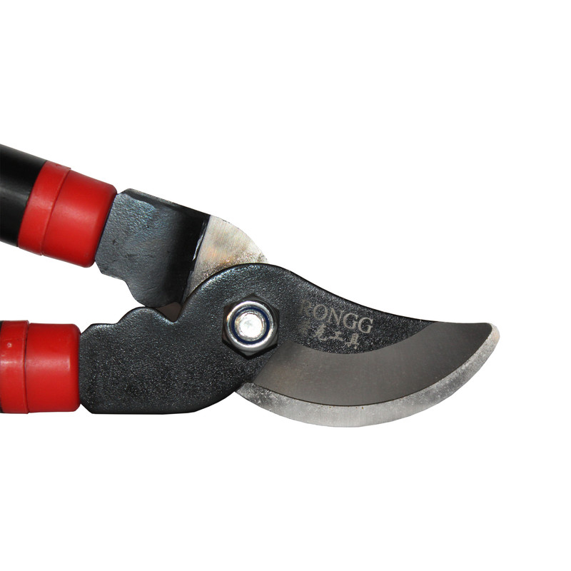 قیچی شاخه زن رانگ مدل تلسکوپی