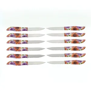 کارد میوه خوری کد a55 بسته 12 عددی 