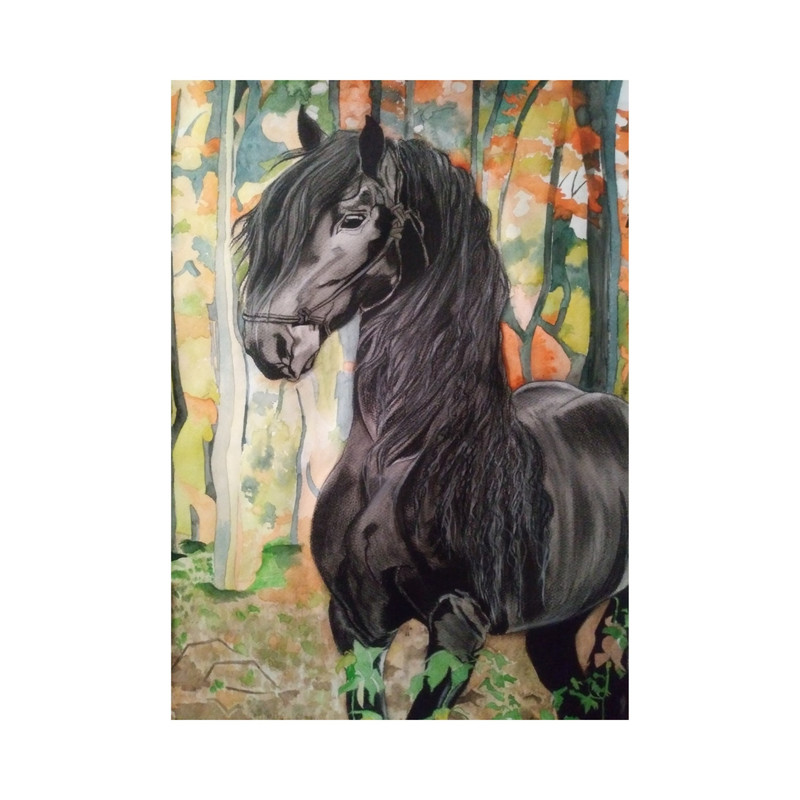 نقاشی سیاه قلم و آبرنگ طرح اسب سیاه یال بافته کد SA102