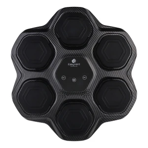 کیسه بوکس موزیکال ایزی هارد مدل eh