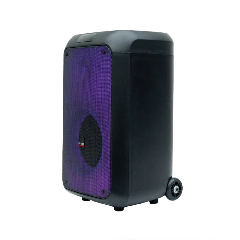 مشخصات، قیمت و خرید اسپیکر بلوتوثی قابل حمل میکرولب مدل Flame 88