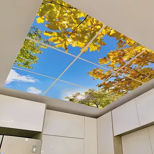 تایل سقفی آسمان مجازی مدل SK-415-3x3  سایز 60x60 مجموعه نه عددی