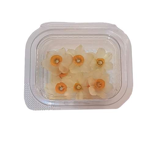 گل خشک مدل نرگس طبیعی بسته 10 عددی 