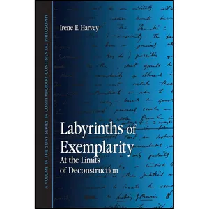 کتاب Labyrinths of Exemplarity اثر Irene E. Harvey انتشارات State University of New York Press