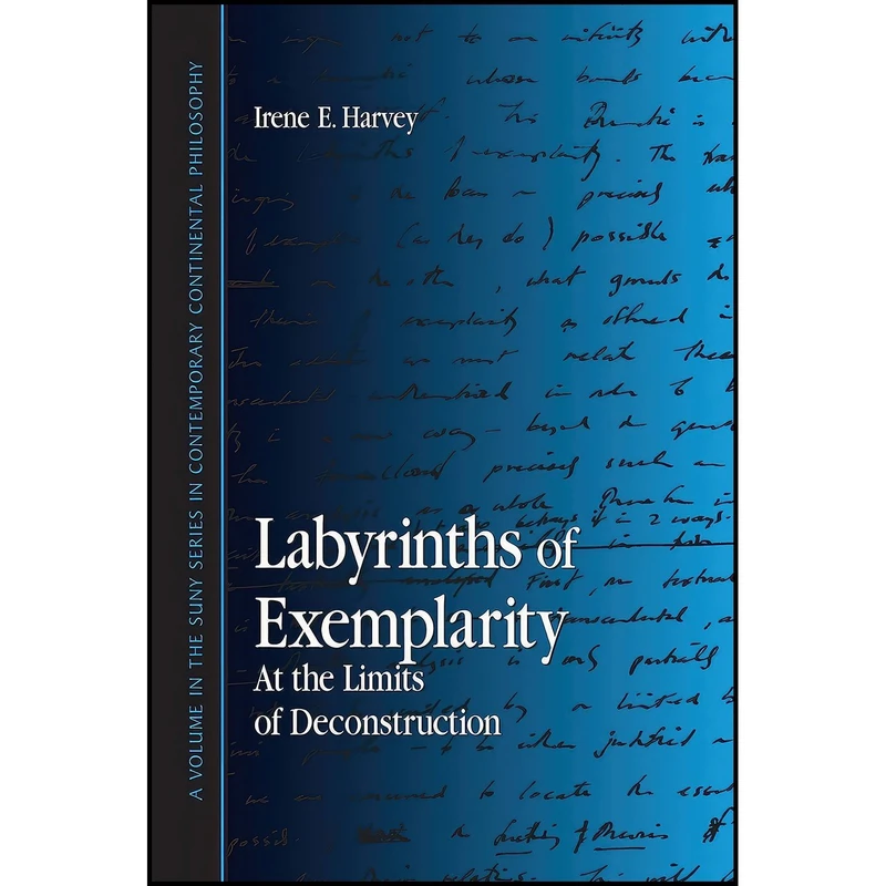 کتاب Labyrinths of Exemplarity اثر Irene E. Harvey انتشارات State University of New York Press